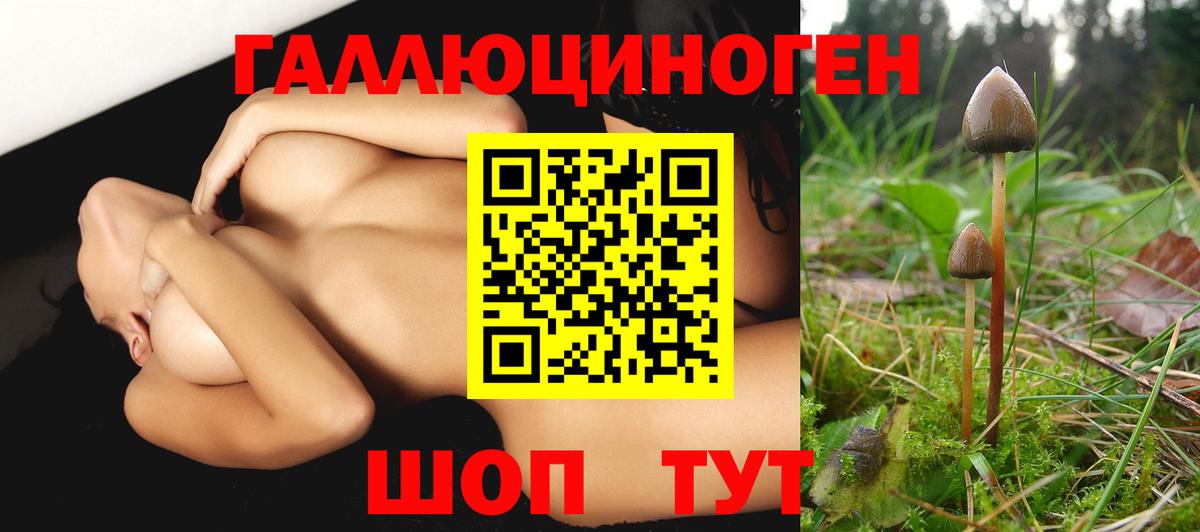 Галлюциногенные грибы Magic Shrooms Белая Калитва